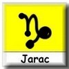 Detaljan opis horoskopskog znaka Jarac