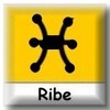 Horoskop za Ribe