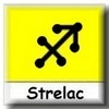 Horoskop za Strelca