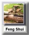 FENG SHUI - SVE O TRADICIONALNOJ VEŠTINI ZDRAVOG
ŽIVLJENJA
