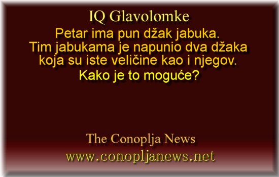 Iq Tests