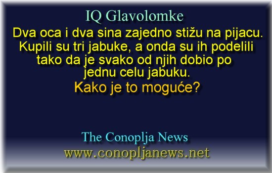 Iq Tests