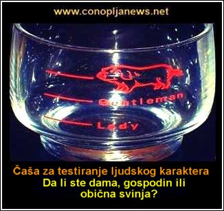 Smesni natpisi, smesni oglasi i smesne slike