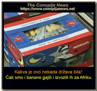 Smesni natpisi, smesni oglasi i smesne slike