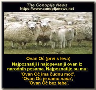 SMEŠNI POSTERE I NATPISI
