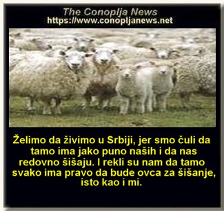 SMEŠNI POSTERE I NATPISI