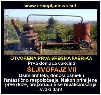 Smesni natpisi, smesni oglasi i smesne slike