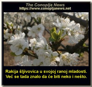 Smesni natpisi, smesni oglasi i smesne slike