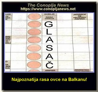 Smesni natpisi, smesni oglasi i smesne slike