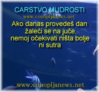 Mudre price i duhovne pouke