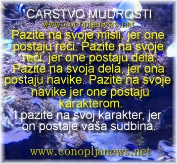 Mudre price i duhovne pouke