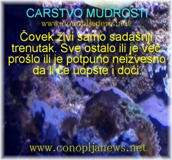 Mudre price i duhovne pouke