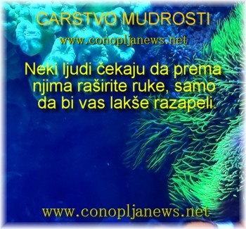 Mudre price i duhovne pouke