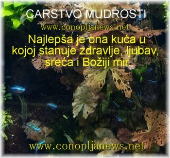 Mudre price i duhovne pouke
