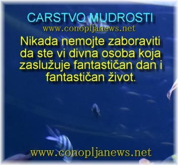 Mudre price i duhovne pouke