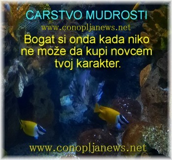 Mudre price i duhovne pouke