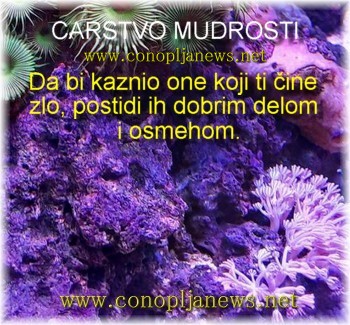 Mudre price i duhovne pouke