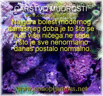 Mudre price i duhovne pouke