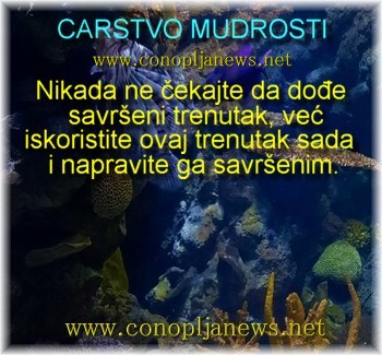 Mudre price i duhovne pouke