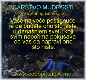 Mudre price i duhovne pouke