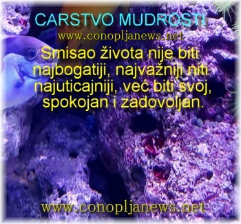 Mudre price i duhovne pouke