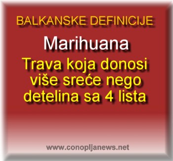 Smesni natpisi, smesni oglasi i smesne slike