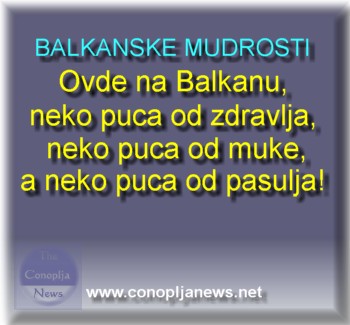 Smesni natpisi, smesni oglasi i smesne slike