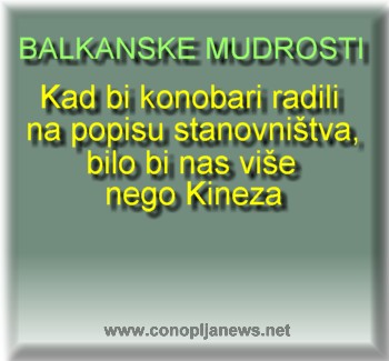 Smesni natpisi, smesni oglasi i smesne slike