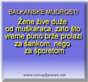 Smesni natpisi, smesni oglasi i smesne slike