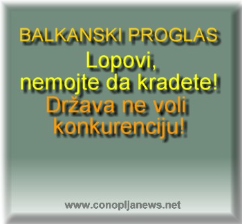 Smesni natpisi, smesni oglasi i smesne slike