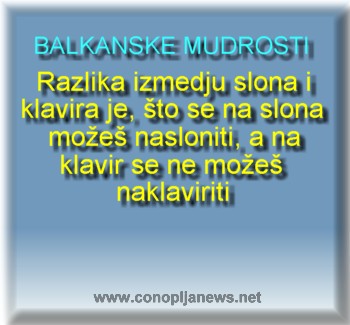 Smesni natpisi, smesni oglasi i smesne slike