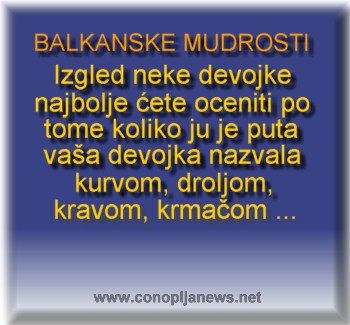 Smesni natpisi, smesni oglasi i smesne slike