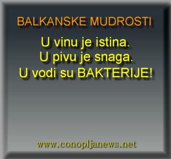 Smesni natpisi, smesni oglasi i smesne slike