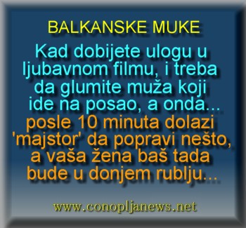 Smesni natpisi, smesni oglasi i smesne slike