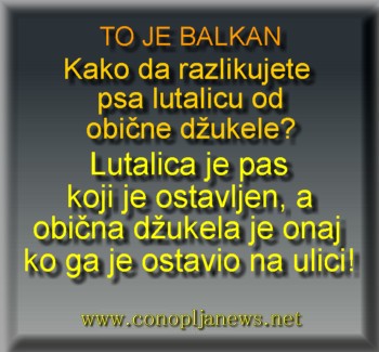 Smesni natpisi, smesni oglasi i smesne slike