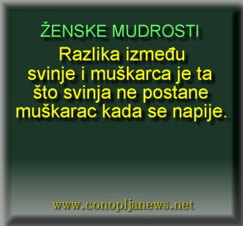 Smesni natpisi, smesni oglasi i smesne slike