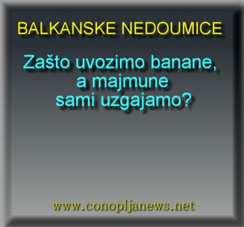 Smesni natpisi, smesni oglasi i smesne slike