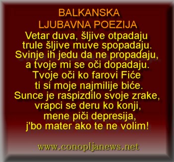 Smesni natpisi, smesni oglasi i smesne slike