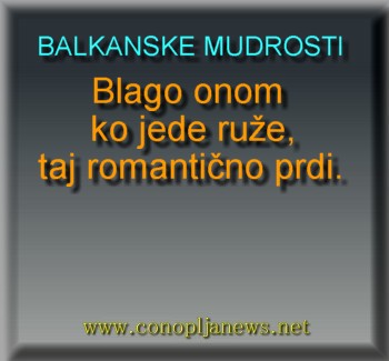 Smesni natpisi, smesni oglasi i smesne slike