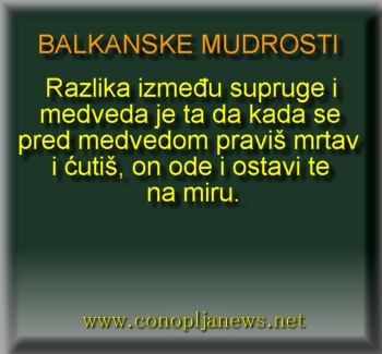 Smesni natpisi, smesni oglasi i smesne slike