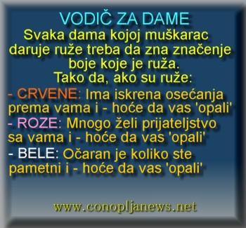 Smesni natpisi, smesni oglasi i smesne slike