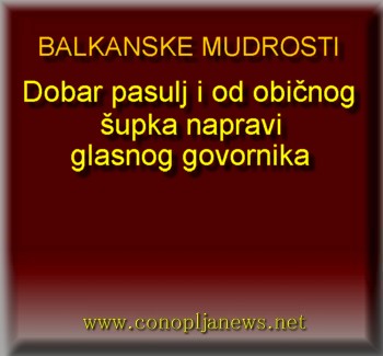 Smesni natpisi, smesni oglasi i smesne slike