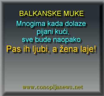 Smesni natpisi, smesni oglasi i smesne slike