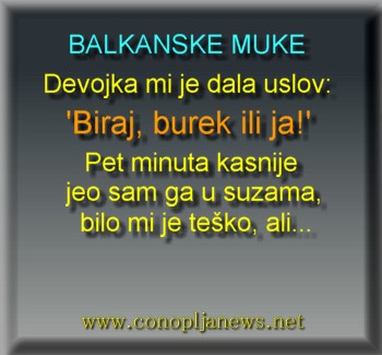 Smesni natpisi, smesni oglasi i smesne slike