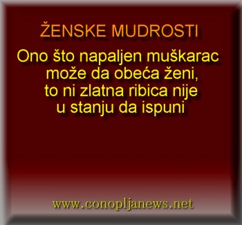 Smesni natpisi, smesni oglasi i smesne slike