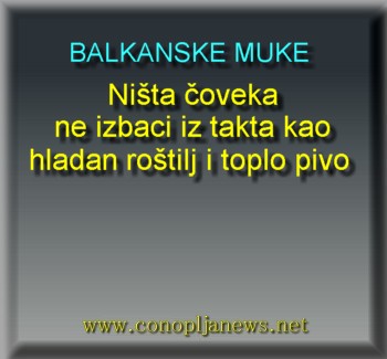 Smesni natpisi, smesni oglasi i smesne slike