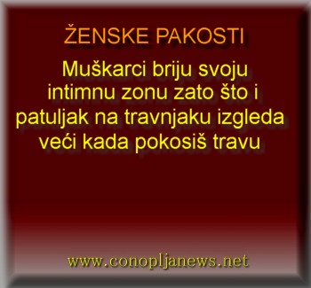 Smesni natpisi, smesni oglasi i smesne slike