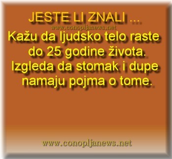 Smesni natpisi, smesni oglasi i smesne slike