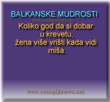 Smesni natpisi, smesni oglasi i smesne slike