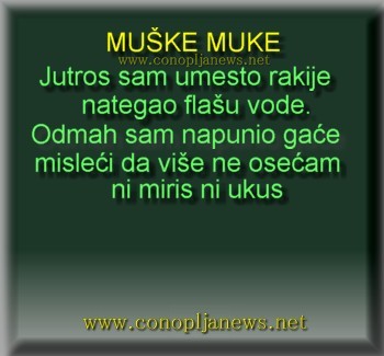 Smesni natpisi, smesni oglasi i smesne slike